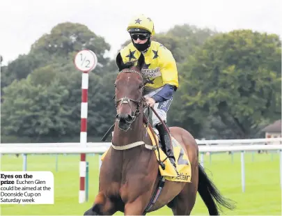  ??  ?? Eyes on the prize Euchen Glen could be aimed at the Doonside Cup on Saturday week