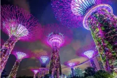  ??  ?? Singapore’s Gardens by the Bay are a classic example of cities putting nature at the forefront (Getty)