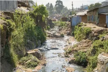  ?? KHALIL SENOSI/AP ?? A polluted tributary flows Jan. 11 through the informal settlement of Kibera in Nairobi, Kenya. As the capital city keeps growing, the Kenyan government says it’s on a mission to clean up the river but little concrete action has been taken.
