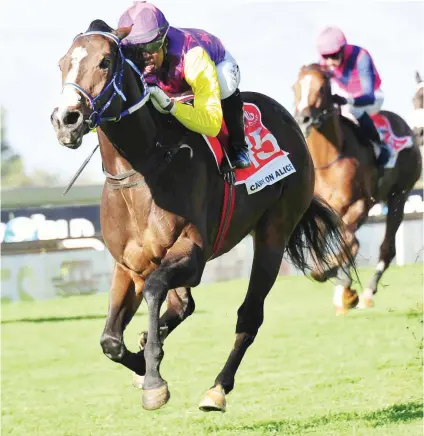  ??  ?? SPEED QUEEN. Carry On Alice has been priced up at 3-1 by the sponsors to beat the boys in the Grade 1 Betting World Cape Flying Championsh­ip over 1000m at Kenilworth Racecourse on Saturday.