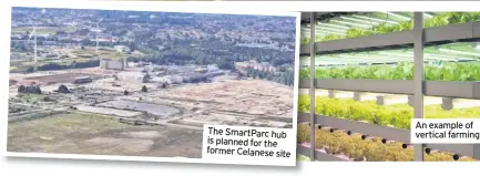  ??  ?? The SmartParc hub is planned for the former Celanese site
An example of vertical farming