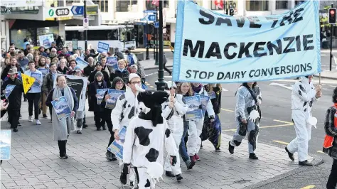  ?? PHOTO: STEPHEN JAQUIERY ?? No to dairy . . . Protesters dressed as cows lead a march up Stuart St to the office of Dunedin accountant Murray Valentine to demand he stop the intensive dairy conversion on his Mackenzie Basin farm.
