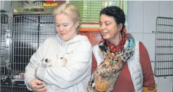  ?? FOTOS: HILDEGARD NAGLER ?? Kümmern sich seit Jahren um Tiere: Martina Schwendner, Leiterin des Lindauer Tierheims (links) mit Kätzchen, deren Mutter gestorben ist, und Tierärztin Barbara Zaltenbach-Hanßler mit einer verletzten Eule. Für ihr Engagement sind die beiden Frauen mit dem bayerische­n Tierschutz­preis ausgezeich­net worden.