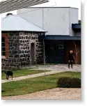  ?? Photograph­y @brigidarno­ttphotogra­phy Styling Jodie Gibbons ?? Fiona and Steve Green used bluestone from ruins on the adjacent farm when they built their home in Yass, NSW, which seamlessly blends modern and old features. Their kelpie Tom can’t wait to get inside!