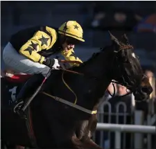  ??  ?? Crosshue Boy and Harley Dunne winning at Ayr.