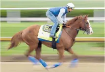  ?? Photo / AP ?? Improbable has moved into second favouritis­m for the Kentucky Derby tomorrow.