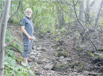  ?? FOTOS: WOLFGANG HEYER ?? In einem ausgetrock­neten Nebenbach des „Kümmerazho­fener Rheins“hat Ottmar Schwarz das Steinkrebs­Habitat im Blick. Er hat auch schon mehrere gerettet.