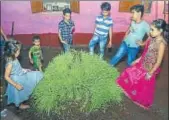  ??  ?? Children belonging to Jethi, a wrestling community, performing the age old tradition of crushing Ravana made out of sand on Dussehra in their Akhara on Tuesday. AH ZAIDI