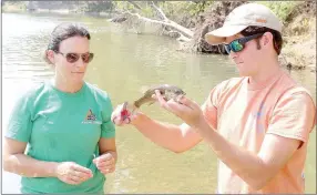  ?? KEITH BRYANT/THE WEEKLY VISTA ?? Shannon Brewer, associate professor at OSU Fisheries, left, stands by while co-researcher Taylor takes a fin trimming from a smallmouth bass.