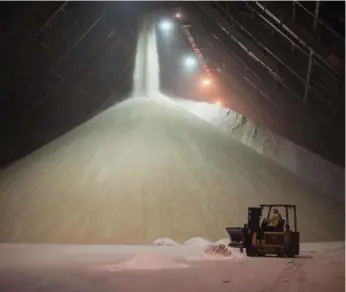  ??  ?? Raw sugar pours into a storage facility as it is off-loaded from a cargo ship. Global sugar supply outpaced demand for the past five seasons, with a surplus of 3.88 million metric tons forecast for the year ending in September.