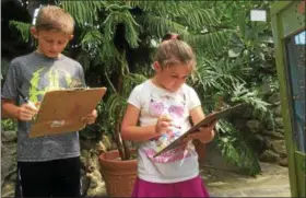  ?? ZACH SRNIS — THE MORNING JOURNAL ?? Luke Partridge, left, 8, of Elyria, stands with sister, Ava, 6, as the two look for plants in the conservato­ry.