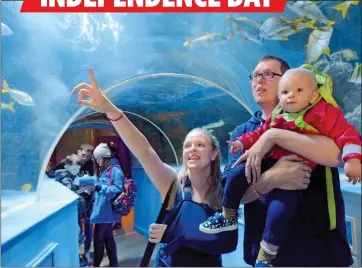  ??  ?? TUNNEL VISION: Lynsey and Chris Todd with 14-month-old Flynn at the Tynemouth Aquarium