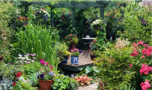  ??  ?? URBAN RETREAT Making the most of a fairly small space, this town garden has been designed on the diagonal to cheat the eye and maximise width. The pond and decking are surrounded by containers planted with bright annuals, including cosmos, petunias, geraniums, busy lizzies, fuchsia, lobelia and nasturtium, with heavenly bamboo and pink phlox on the right