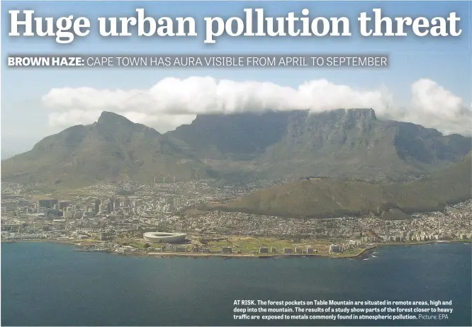  ?? Picture: EPA ?? AT RISK. The forest pockets on Table Mountain are situated in remote areas, high and deep into the mountain. The results of a study show parts of the forest closer to heavy traffic are exposed to metals commonly found in atmospheri­c pollution.