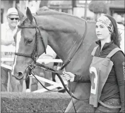  ?? EMILY SHIELDS ?? Got Stormy does her best running over a firm turf course, but Friday and Saturday rain could soften the Gulfstream turf.