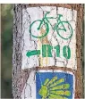  ??  ?? Der mit R 10 gekennzeic­hnete Ostseeküst­en-radweg verläuft zum Teil auf dem Jakobsweg