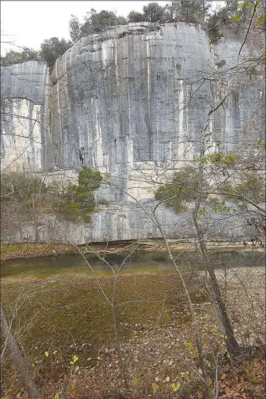  ?? (NWA Democrat-Gazette/Flip Putthoff) ?? Roark Bluff rises more than 100 feet above the Buffalo River.