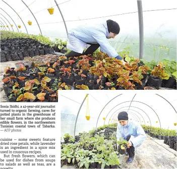  ?? — AFP photos ?? Sonia Ibidhi, a 42-year-old journalist turned to organic farming, cares for potted plants in the greenhouse of her small farm where she produces edible flowers, in the northweste­rn Tunisian coastal town of Tabarka.