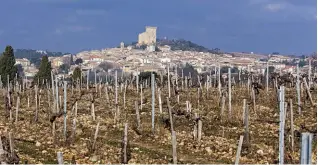  ??  ?? UNE MEILLEURE CONNAISSAN­CE DU TERROIR. Pour que Fortia retrouve sa splendeur, Pierre Pastre a étudié les sols de chaque parcelle et y a adopté la culture idoine. Il a aussi engagé la rénovation du cuvier.