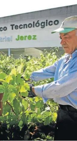  ?? PASCUAL ?? Parcela del Parque Científico Tecnológic­o Agroindust­rial de Jerez.