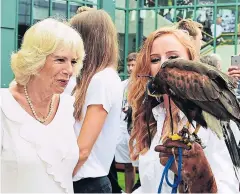  ?? AFP ?? Britain’s Camilla, the Duchess of Cornwall, meets Rufus the Hawk.
