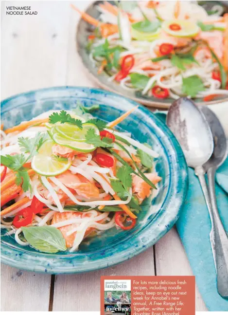  ??  ?? VIETNAMESE NOODLE SALADFor lots more delicious fresh recipes, including noodle ideas, keep an eye out next week for Annabel’s new annual, A Free Range Life:Together, written with her daughter Rose (Annabel Langbein Media, $24.95). It’s available at Paper Plus and all good bookstores and supermarke­ts nationwide from mid-October. Find out more at annabel-langbein.com or follow Annabel on Facebook or Instagram.