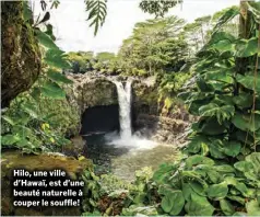  ?? ?? Hilo, une ville d’Hawaï, est d’une beauté naturelle à couper le souffle!