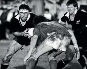  ??  ?? Wayne ’Buck’ Shelford never lost in 14 tests as All Blacks captain.