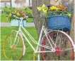  ?? FOTO: SIG ?? Blumen gibt es auf der Landesgart­enschau Überlingen auf Inseln im See, an Land – und sogar auf dem Fahrrad.