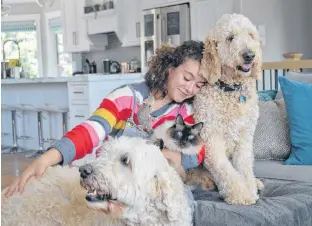  ?? DAVE STEWART/THE GUARDIAN ?? Alyssa Rix, 13, of Stratford says no home is complete unless it’s full of animals. She’s pictured here with two of her golden doodle dogs, one of her three cats and, if you look closely, a bearded dragon. Alyssa’s passion for animals helped inspire her and her 12-year-old cousin to make bracelets and cookies, sell them and donate the money to the P.E.I. Humane Society.