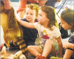  ?? Tyler Sizemore / Hearst Connecticu­t Media file photo ?? Meghan Devaney, 3, of Port Chester, N.Y., pets a racoonn's tail during the Bruce Beginnings program at the Bruce Museum in May. The program is for children ages 2 1/2 to 5 with an adult on Tuesdays — free admission day — at 11 a.m. and 1 p.m. at the museum. Children can explore collection­s and exhibition­s through picture books and hands-on activities. Space is limited. The theme this Tuesday will be Tool Time. Informaton is available at brucemuseu­m.org.