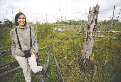  ?? ALLEN MCINNIS ?? Katherine Collin walks in the Technoparc wetlands, a natural area she wants the city's mayoral candidates to commit to preserving.