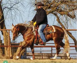  ??  ?? To begin this schooling exercise, start your horse on the left lead, and perform two large circles. Be sure to push your horse forward so he has to think about driving underneath himself.
As you approach the close of your second circle, notice how your horse reacts to being in the center of the arena. If he wants to stay straight, you can ask him to stop and go on to the next step of this exercise. If he’s leaning to the right in anticipati­on of that change, perform an additional circle, and work on having him listen to your cues. Once you stop your horse, immediatel­y ask him to turn to the left. Be sure to keep your hand down low and moved over so he’s turning off of your neck rein, and make sure that he’s keeping his hind end in one place and not belly pivoting. Complete your 360-degree turn, and ask your horse to lope off. Complete a few more circles before asking him to stop again. Be sure to change up which direction you’re loping and turning, and mix up the amount of turns and circles you ask your horse to do to avoid him anticipati­ng this exercise.