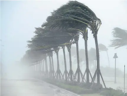  ?? Picture: Getty. ?? Trees bend in the wind along North Fort Lauderdale Beach Boulevard.
“We have also taken steps in relation to St Maarten, which is a French and Dutch territory. There are a lot of Brits on holiday there and we have sent UK consular representa­tives.”