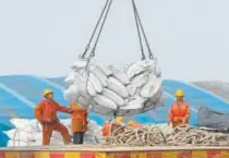  ??  ?? Workers load imported soybeans last month at a port in Nantong in east China's Jiangsu province. China is the top market for U.S. soybean. Chinatopix