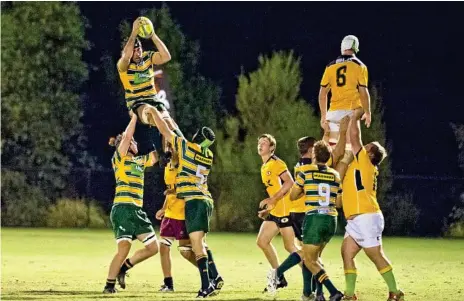  ?? Photo: Nev Madsen ?? SNATCH AND GRAB: Lachlan Tulloch grabs line-out possession for Darling Downs in its Cattleman's Cup match against Central Queensland at Highfields in March.