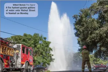  ?? Gilbert Bernal/ The Signal ?? A fire hydrant gushes gallons of water onto Walnut Street in Newhall on Monday.