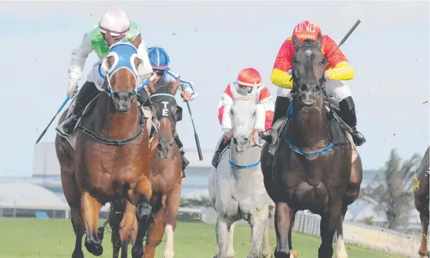  ?? Picture: TRACKSIDE PHOTOGRAPH­Y ?? ON TRACK: Monsieur Gustave (left) fights off Calanda to win the George Moore Stakes at Doomben in 2017.