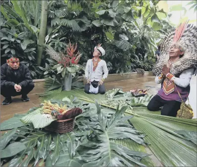  ??  ?? GREEN DAY: Members of the Kaxinawá tribe from Acre state in the Amazon perform a traditiona­l blessing ceremony of the plants.