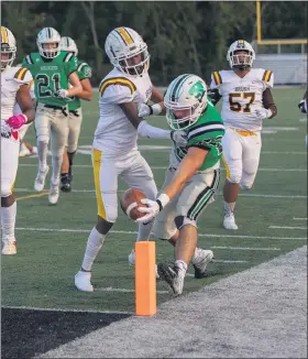  ??  ?? Mayfield’s Joey Dostel reaches for the end zone during the Wildcats’ victory over Brush on Sept. 17.