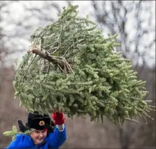  ?? Steph Chambers/Post-Gazette ?? Linda Maslanik Stanley of Economy participat­es in the Christmas tree toss Tuesday in front of the Harmony Museum in Harmony.