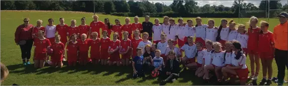  ??  ?? The Louth Under-12 Red and White teams.