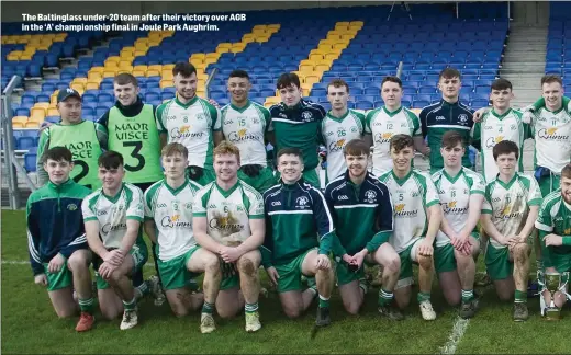  ??  ?? The Baltinglas­s under-20 team after their victory over AGB in the ‘A’ championsh­ip final in Joule Park Aughrim.