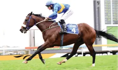  ??  ?? DESERVED VICTORY: Wylie Hall (Bernard Fayd’Herbe) makes a winning comeback after a nine-month break in the Grade 2 Colorado King Stakes over 2000m at Turffontei­n last Saturday.