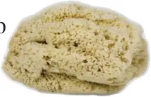  ?? CARLOS OSORIO/TORONTO STAR ?? If you’re ready to raise the bar on the whole tub experience, take to mermaid level by tossing in a real sea sponge, Karen von Hahn says. (Honeycomb sea sponge from the Natural Sea Sponge company, $31.50, fendrihans.ca.)