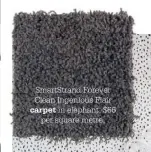  ??  ?? SmartStran­d Forever Clean Ingenious Flair
carpet in elephant, $66 per square metre.