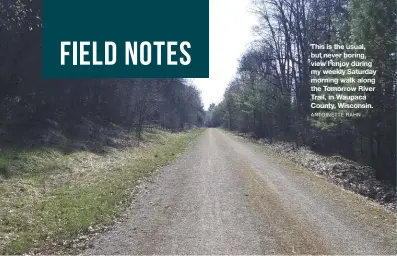  ?? ANTOINETTE RAHN ?? This is the usual, but never boring, view I enjoy during my weekly Saturday morning walk along the Tomorrow River Trail, in Waupaca County, Wisconsin.