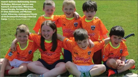  ??  ?? Sean O’ Sullivan, Ballincoll­ig, Emma McMullen, Millstreet, Aaron Lane, Kanturk, Graham Daly, Millstreet, Ronan Murphy, Derinagree, Eamonn O’ Shea, Rathcoole, and Michael Lynch, Kilcorney, making new friends at the Dromtariff­e Kellogg’s GAA Cúl Camp....