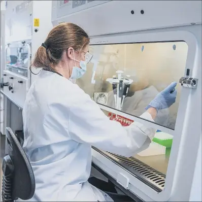  ?? PICTURE: UNIVERSITY OF OXFORD/ PA ?? TESTING: A researcher at work on the coronaviru­s vaccine developed by AstraZenec­a and Oxford University.