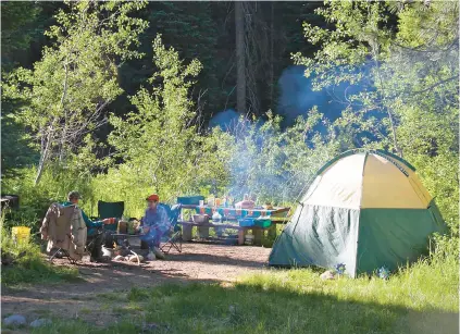  ?? PETE ZIMOWSKY/THE IDAHO STATESMAN ?? Campground­s on national forest land, such as this one near Idaho City, Idaho, are now open for reservatio­ns.